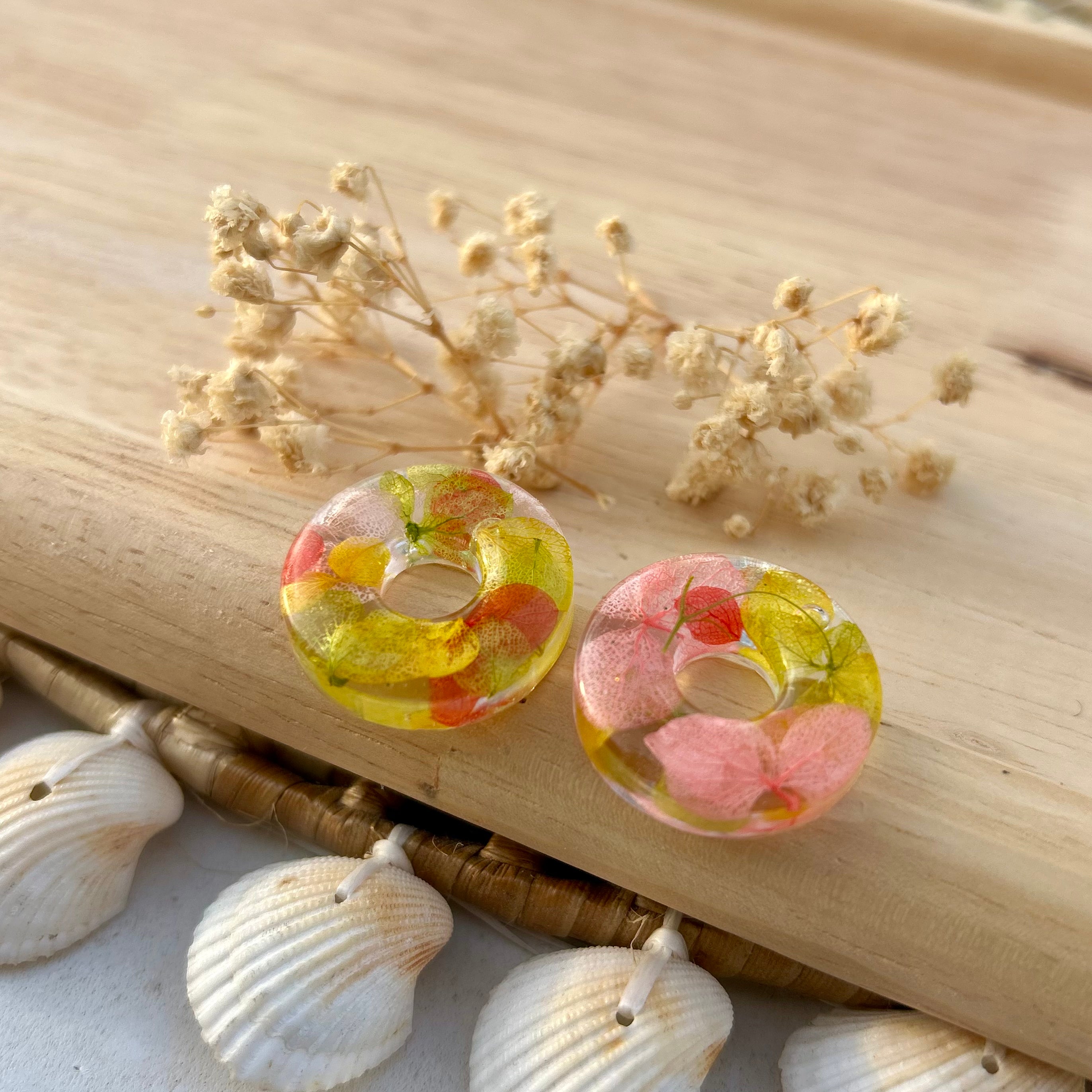 Donuts | Hortensias multicolore